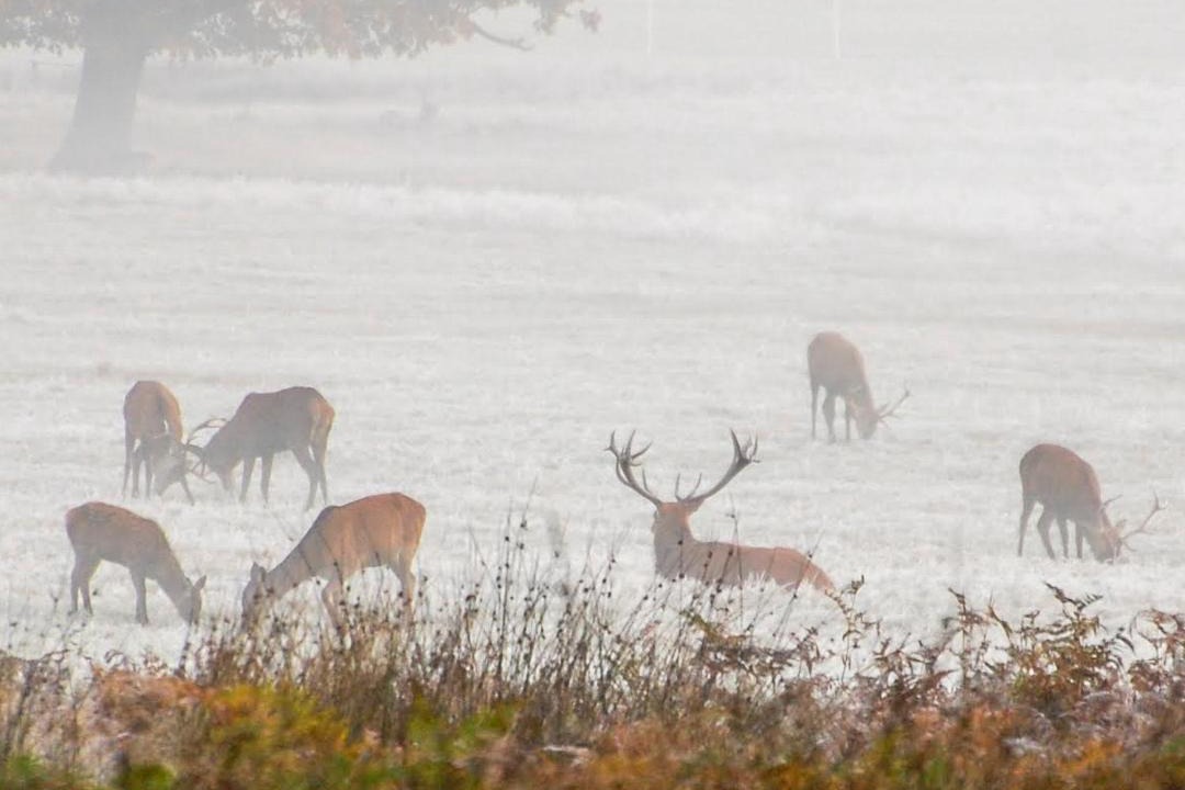 Photo of Others in Lavender Fields