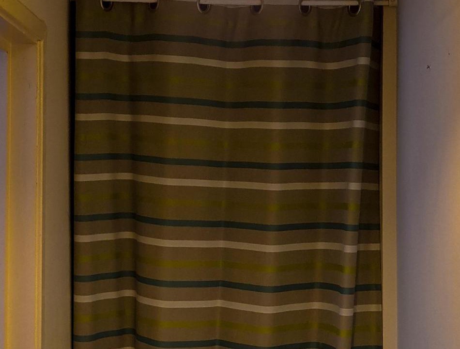 Photo of Others in Lavender Fields