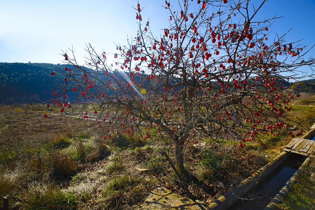 Photo of Others in Requena