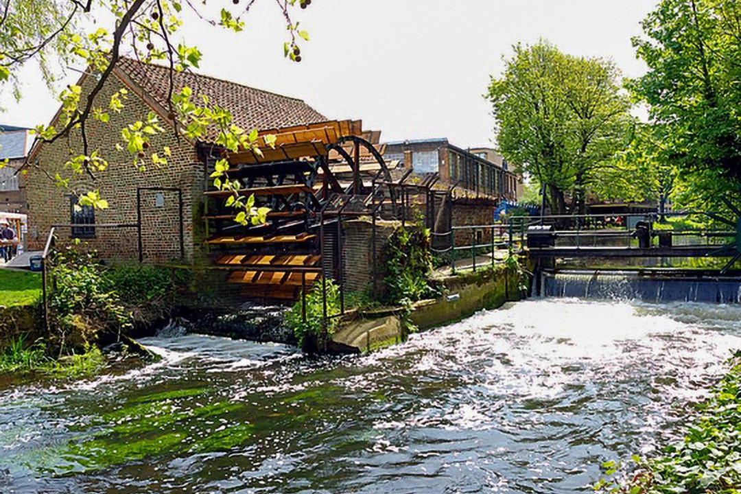 Photo of Others in Lavender Fields
