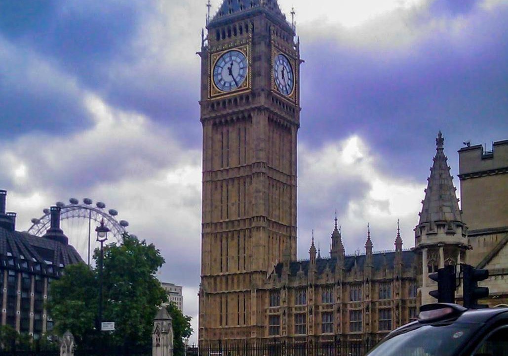 Photo of Others in Lavender Fields