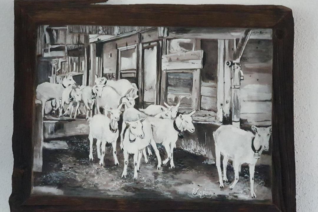 Photo of Others in Emmetten