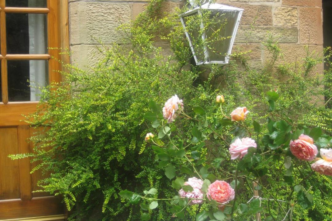 Photo of Others in Dowanhill