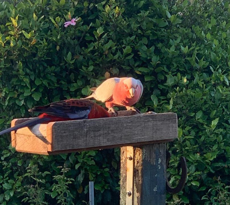 Photo of Others in Metung