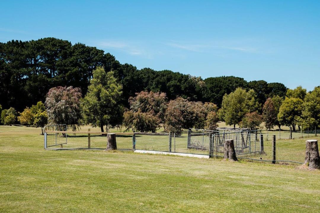 Photo of Others in Torquay