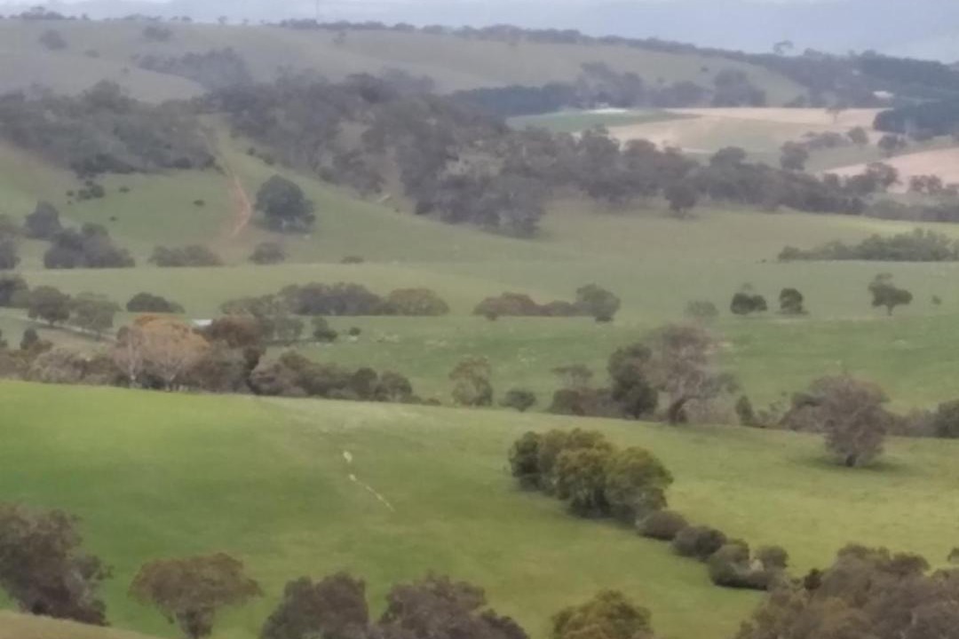 Photo of Others in Wirrina Cove