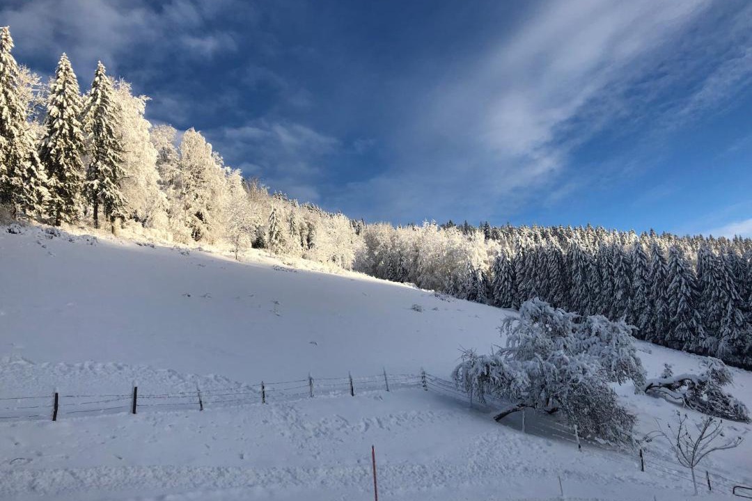 Photo of Others in Les Combes