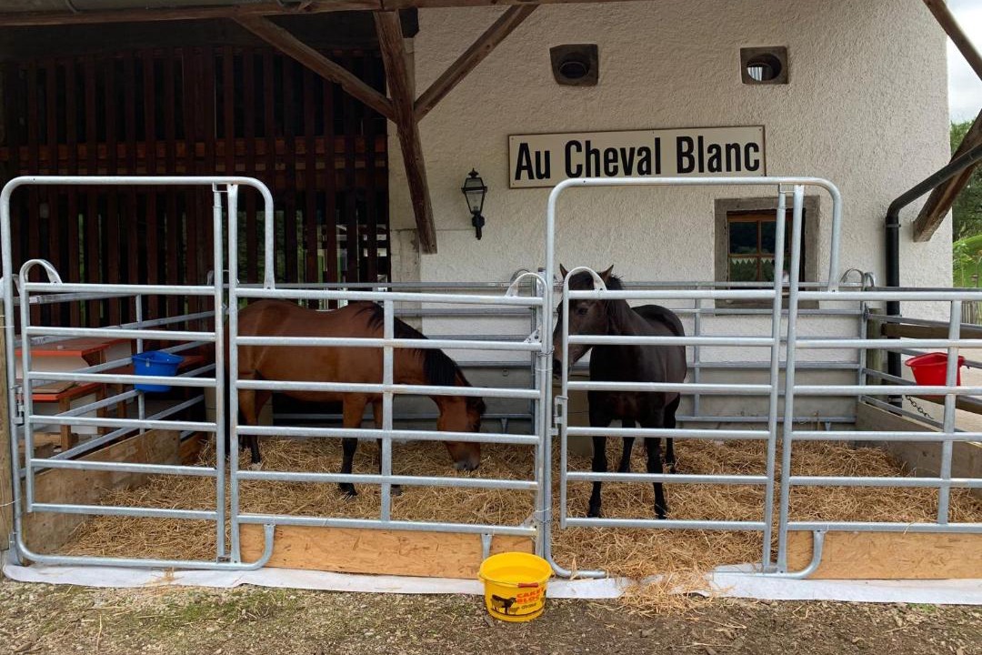 Photo of Others in Asuel