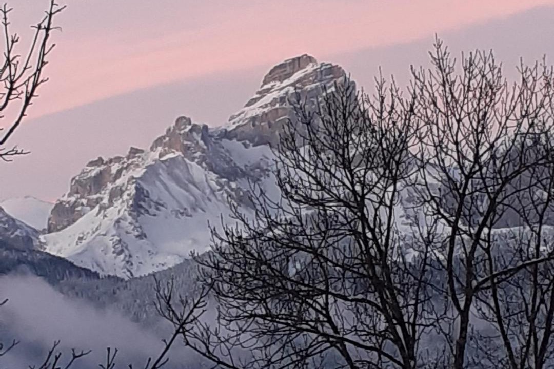 Photo of Others in Corps