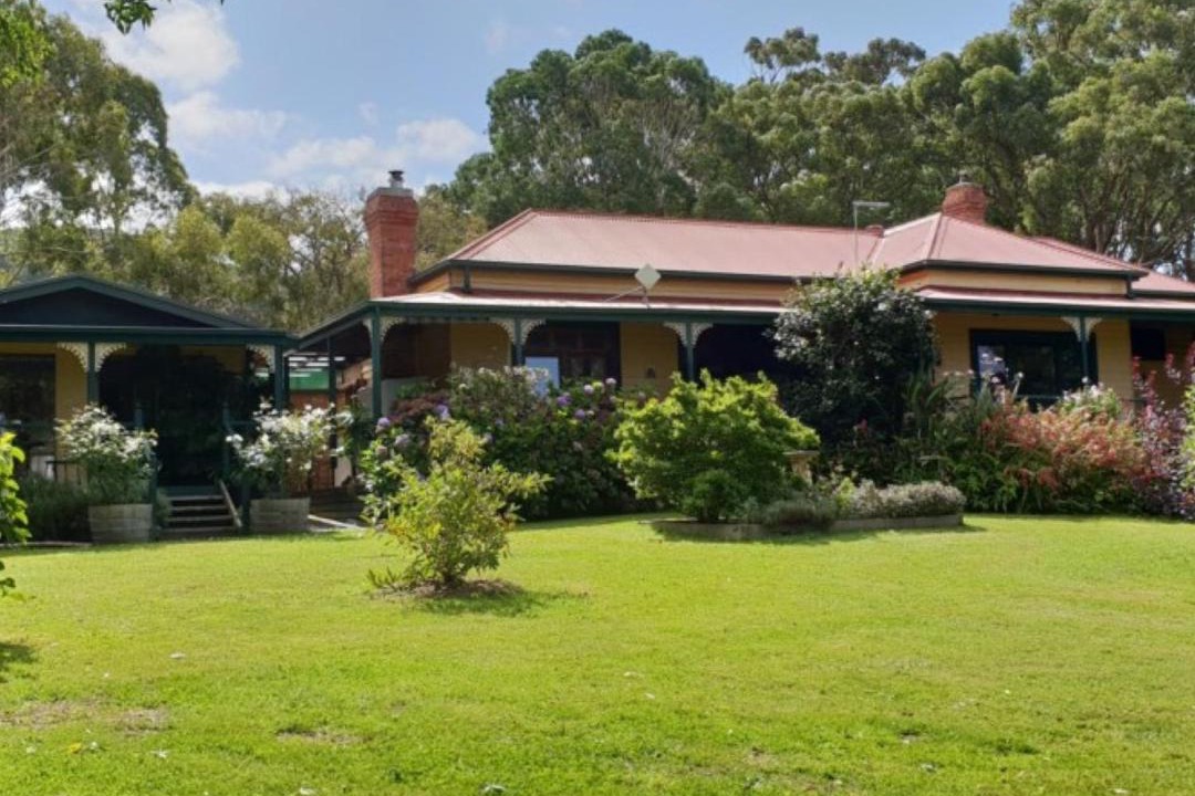 Photo of Others in Foster