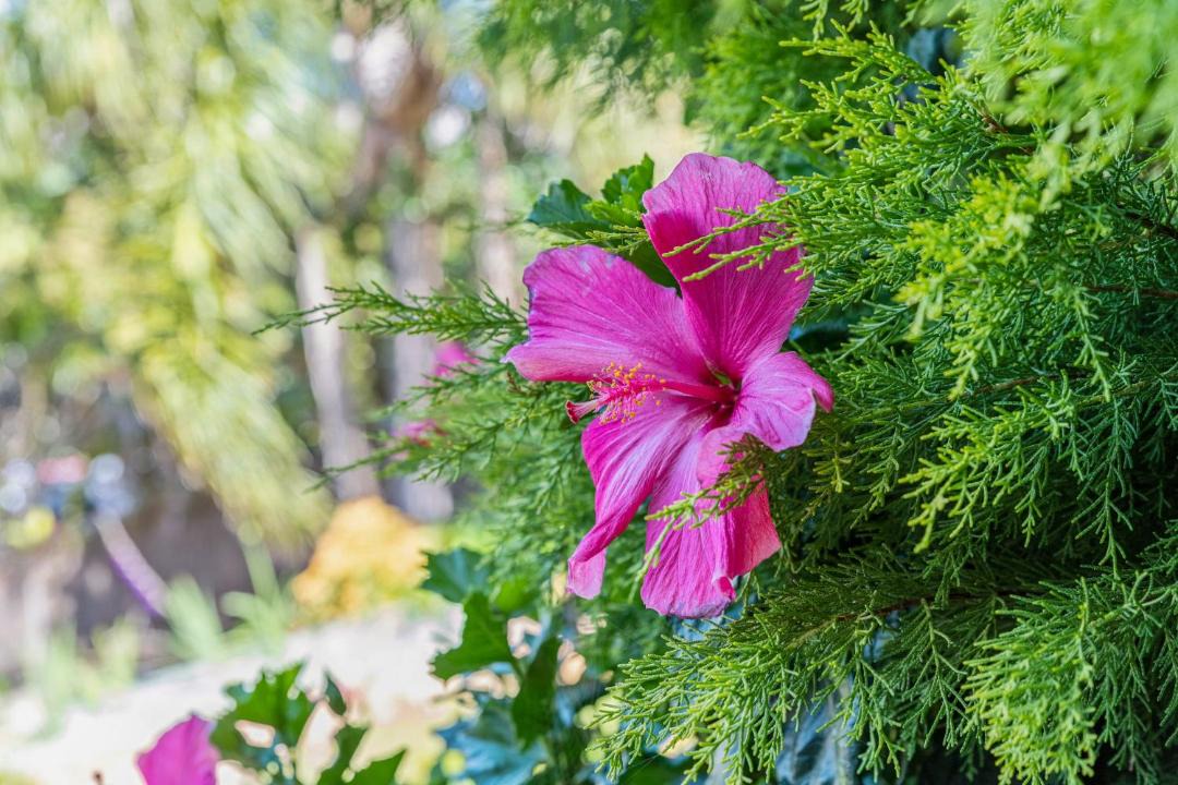 Photo of Others in Forresters Beach