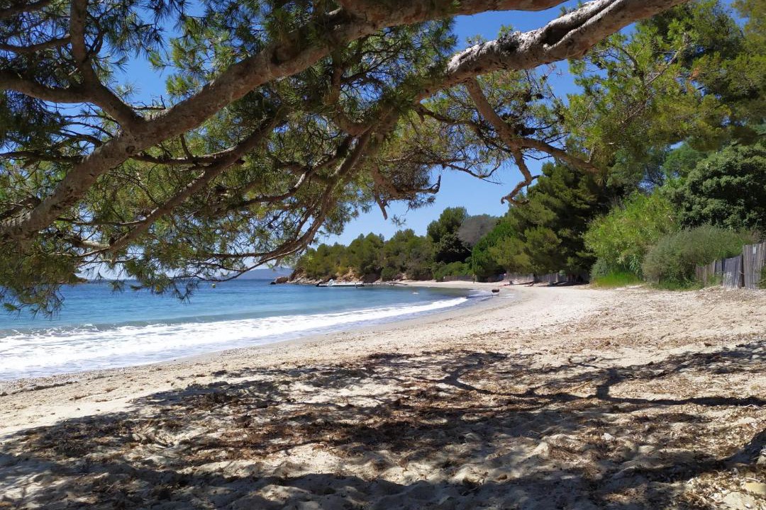 Photo of Outdoor in Miramar