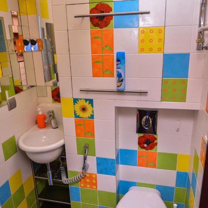 Photo of Others in North-Western Administrative Okrug