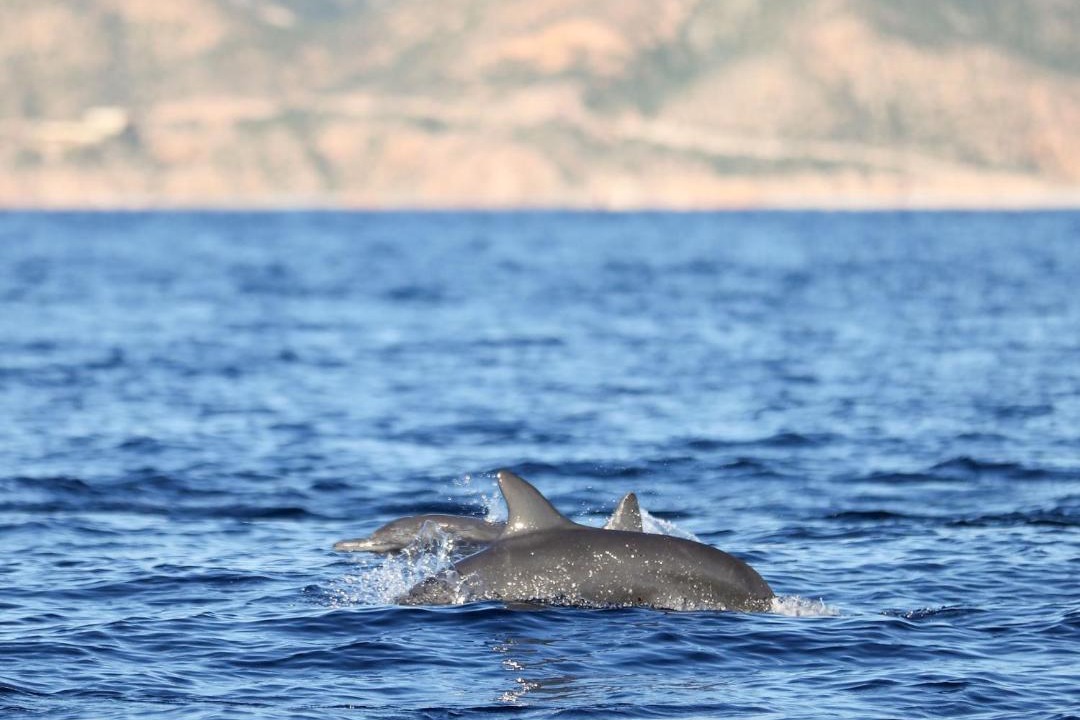 Photo of Others in La Ventana