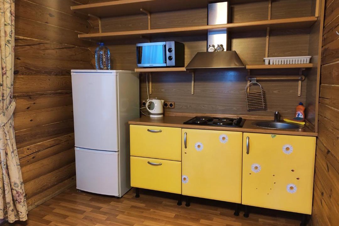 Photo of Kitchen in Lopotovo