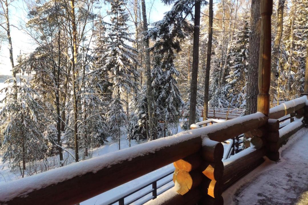 Photo of Others in Lopotovo