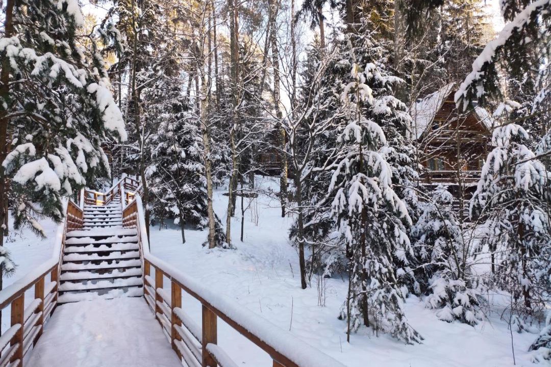 Photo of Others in Lopotovo