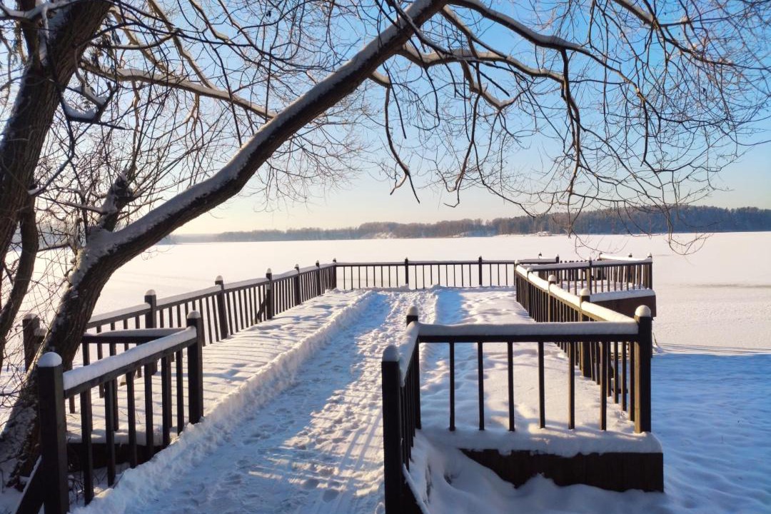 Photo of Others in Lopotovo