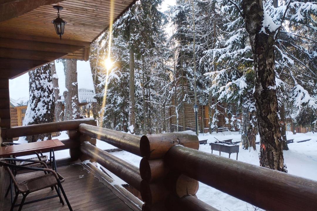 Photo of Livingroom in Lopotovo