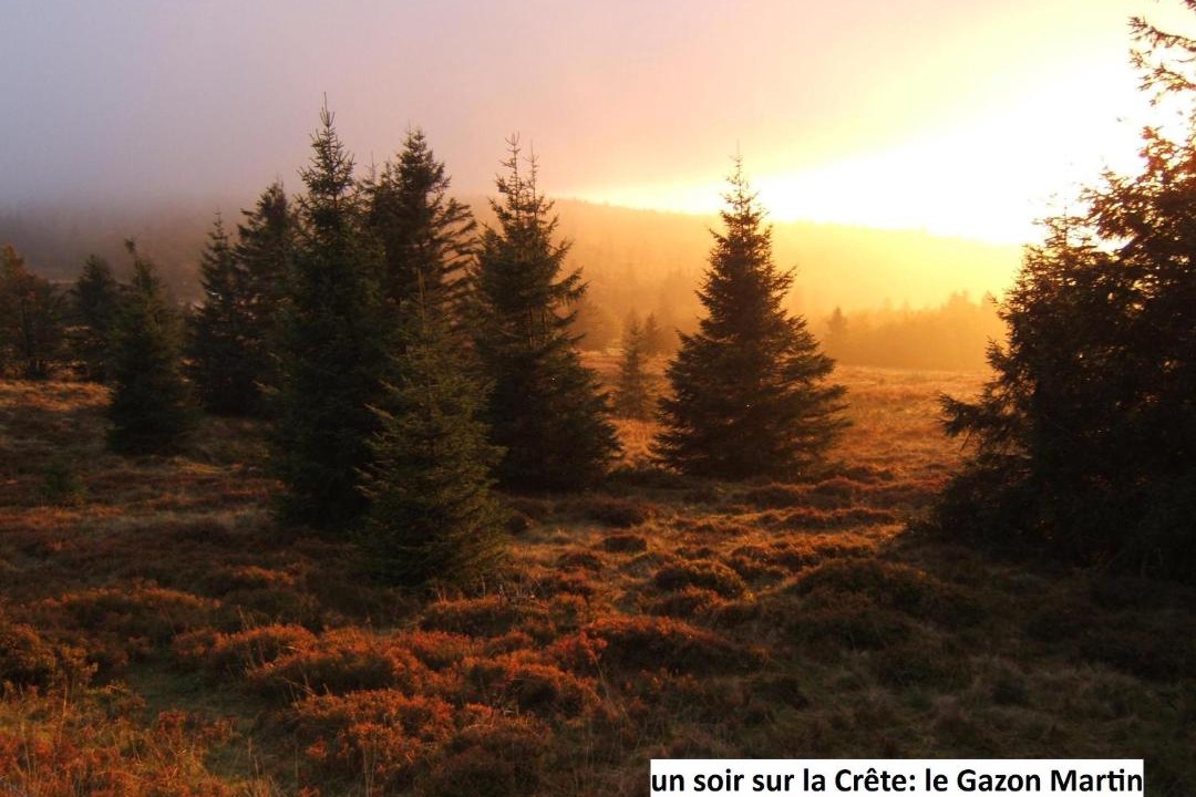 Photo of Others in Oderen