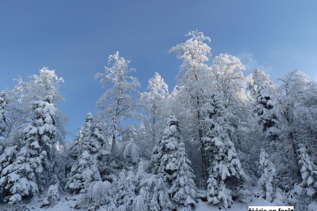 Photo of Others in Oderen