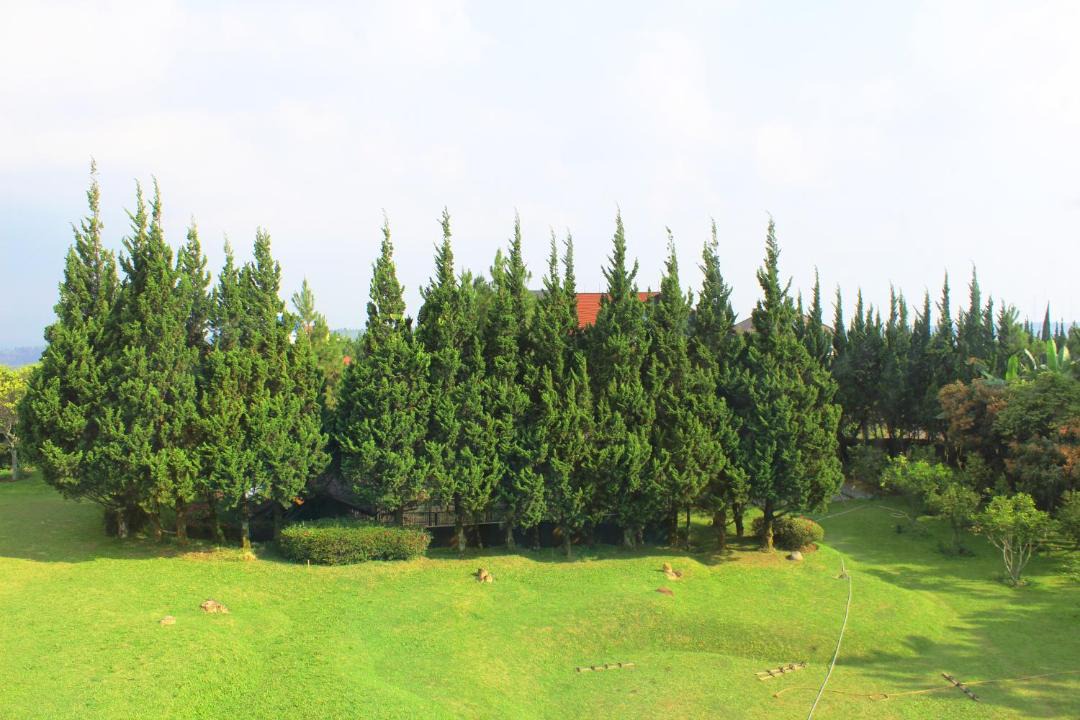 Photo of Others in Parongpong