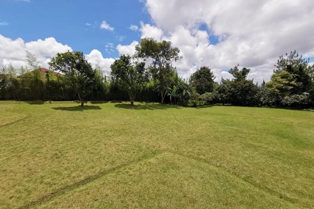 Photo of Others in Parongpong