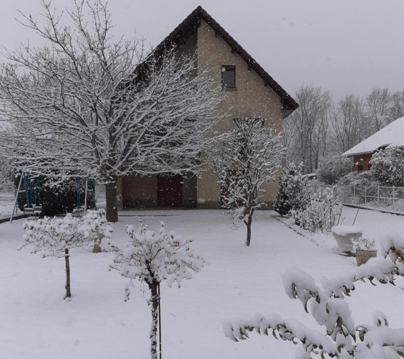 Photo of Others in Corps