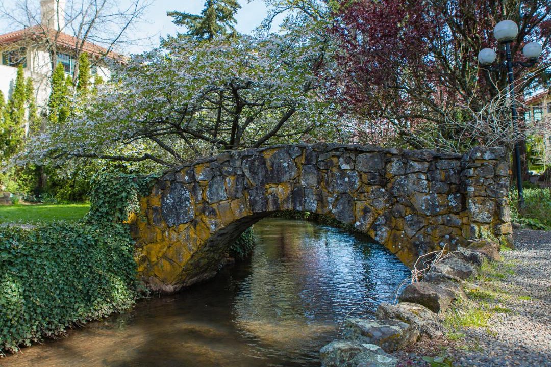 Photo of Others in Hood River