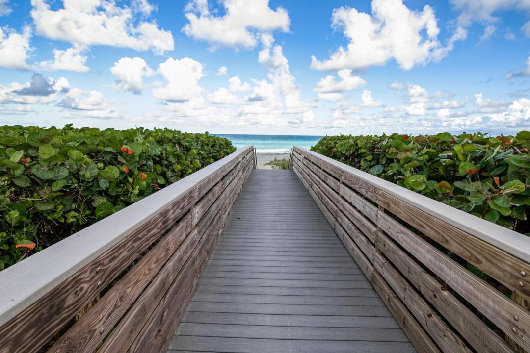Photo of Others in Juno Beach