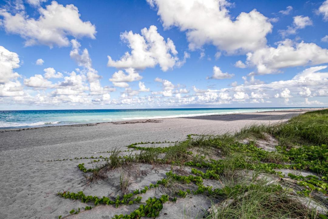 Photo of Others in Juno Beach
