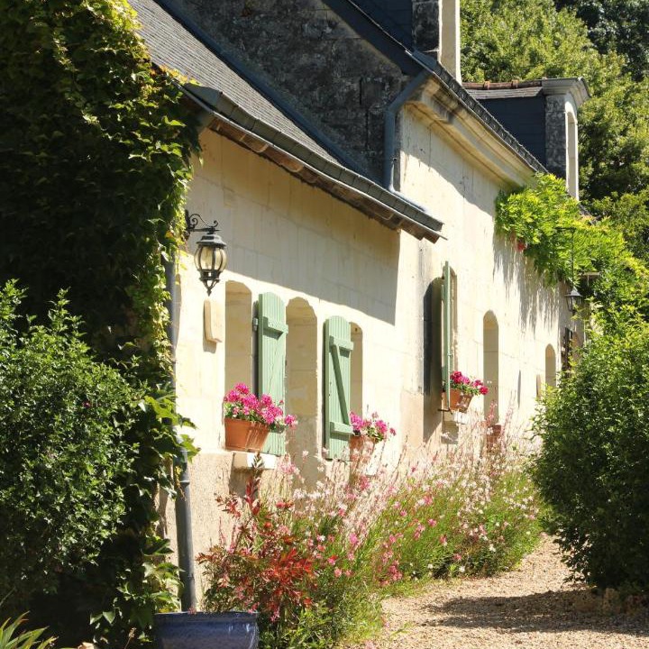 Photo of Others in Brion