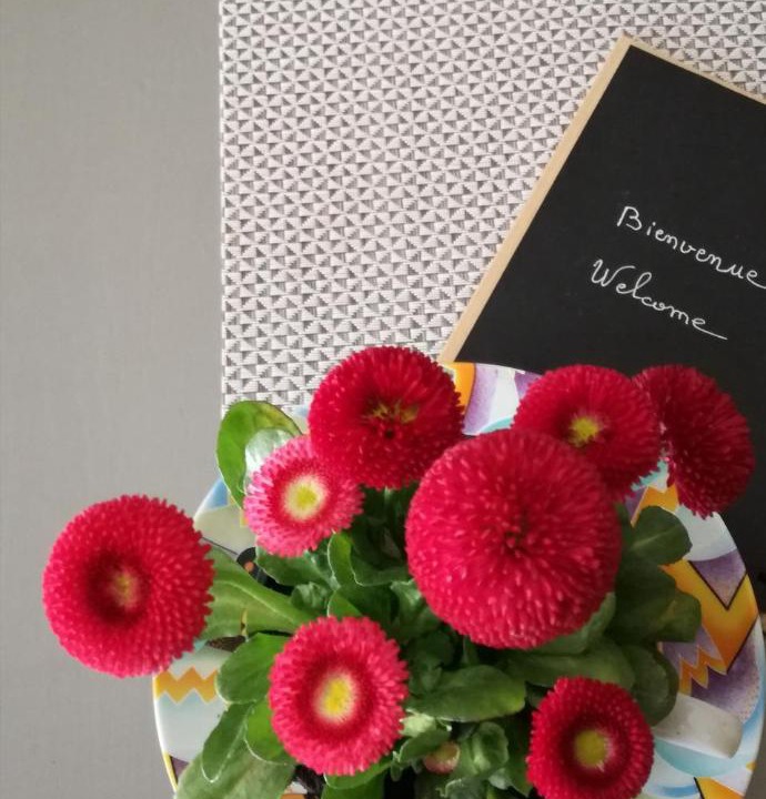 Photo of Others in Savigny-les-Beaune