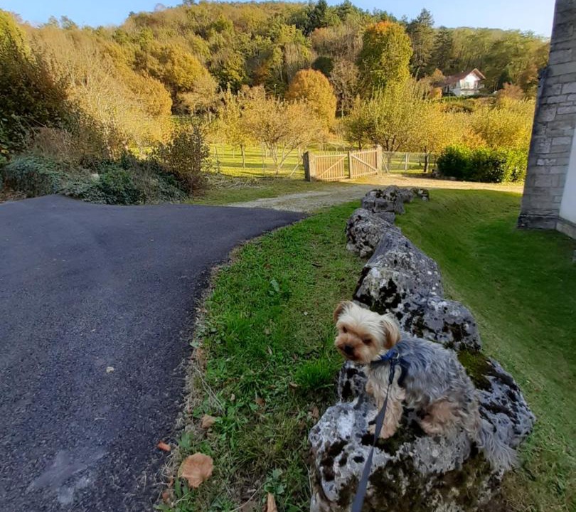 Photo of Others in Treffort-Cuisiat