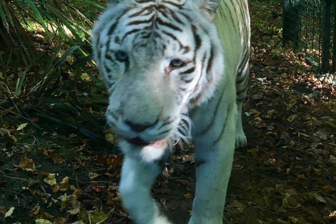 Photo of Others in Pruniers-en-Sologne
