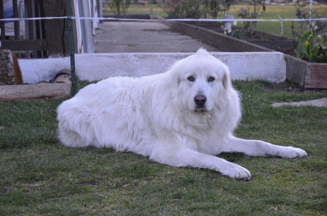 Photo of Others in Callen