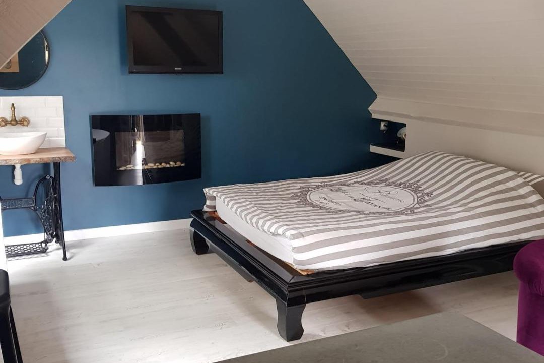 Photo of Others in Moult