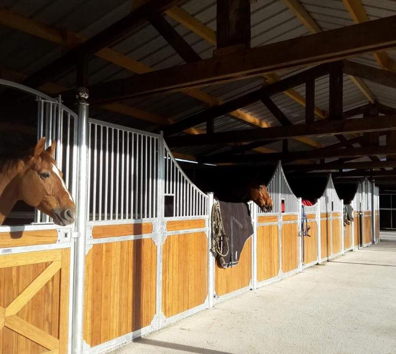 Photo of Others in Moult