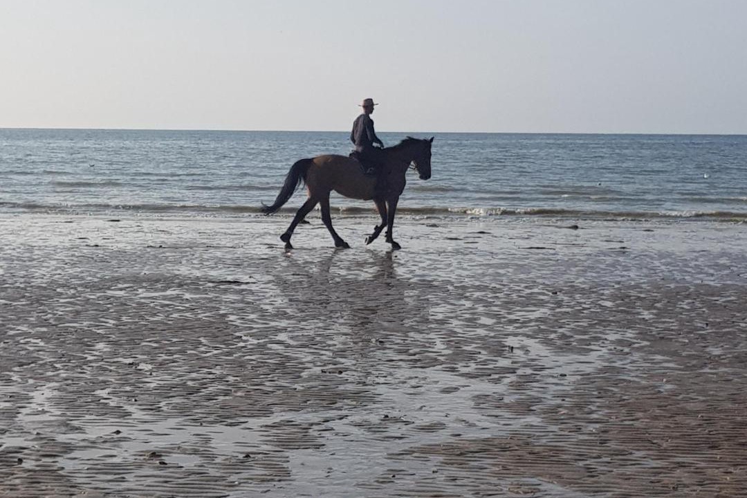 Photo of Others in Moult