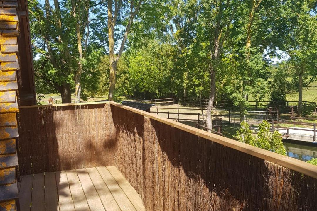 Photo of Others in Moult