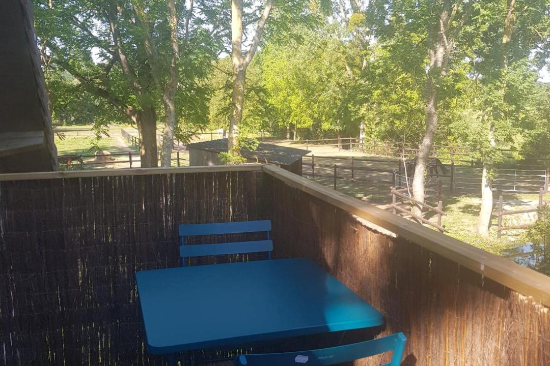 Photo of Others in Moult