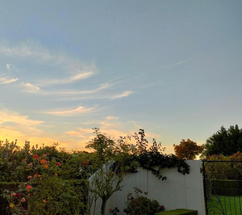 Photo of Others in Opaki