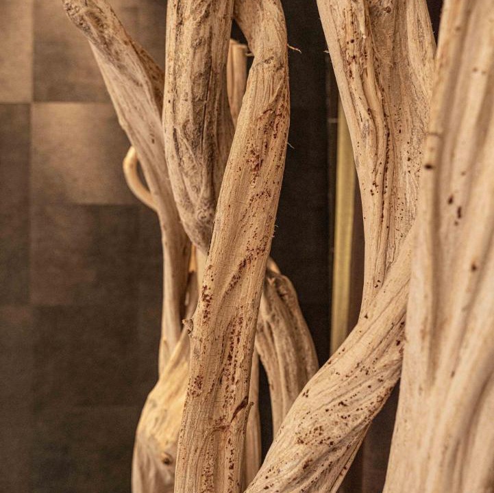 Photo of Others in Carcassonne