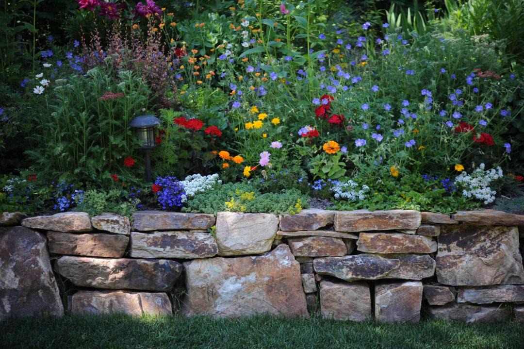 Photo of Others in Ketchum