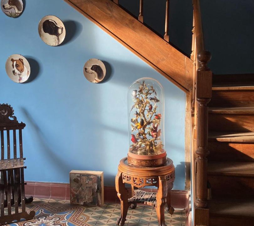 Photo of Others in Bourg-le-Comte