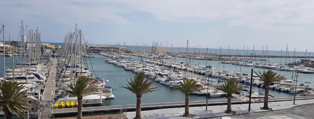Photo of Others in Le Port