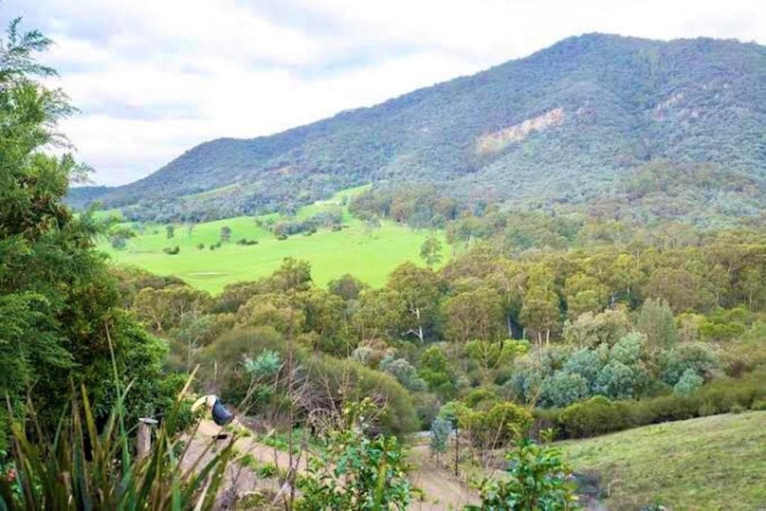 Photo of Others in Eildon