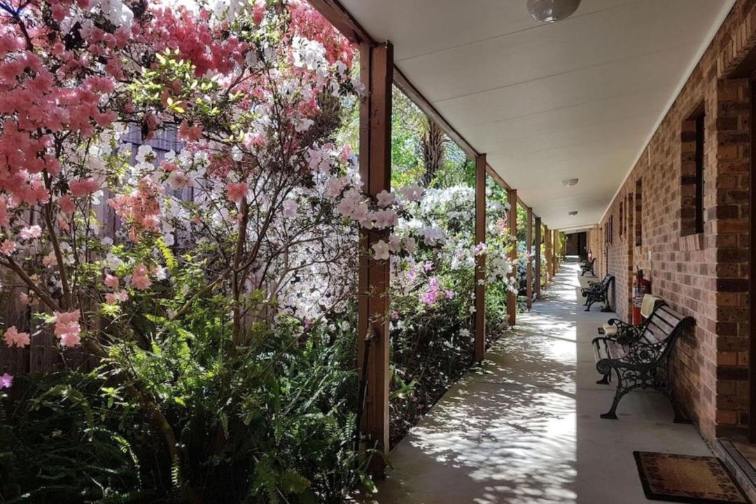 Photo of Others in Eildon