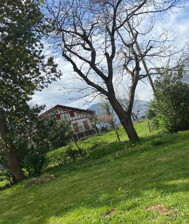 Photo of Others in Ascarat