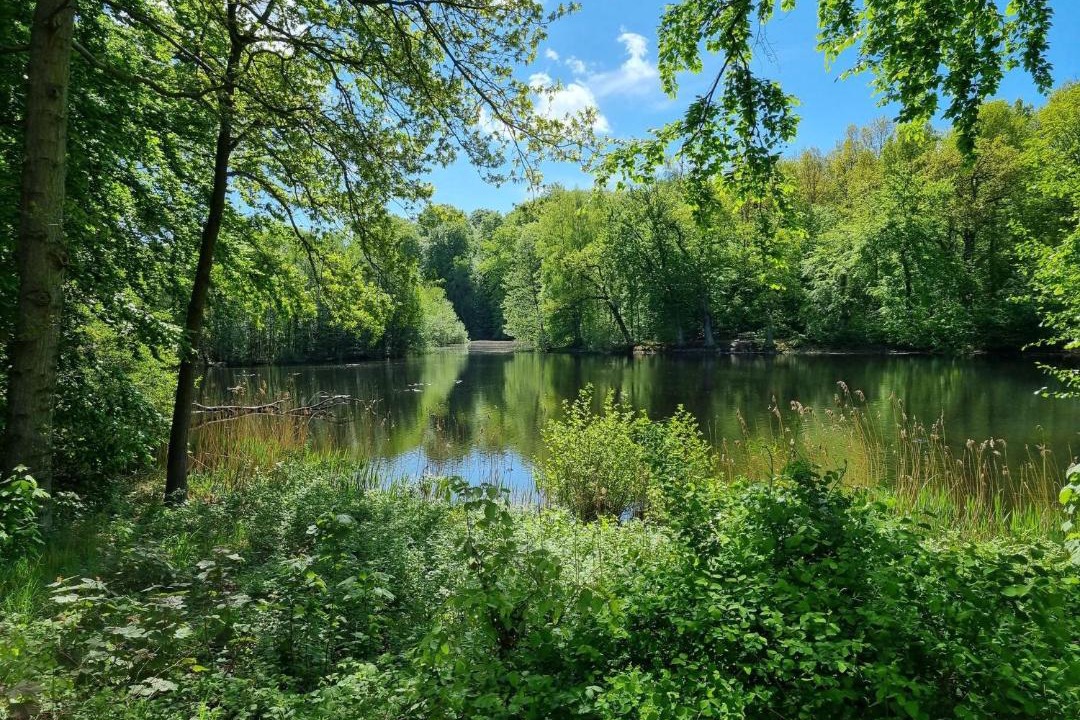Photo of Outdoor in Vedbaek